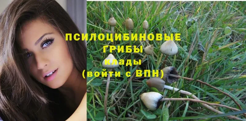 Псилоцибиновые грибы Psilocybine cubensis  мега рабочий сайт  Волосово 